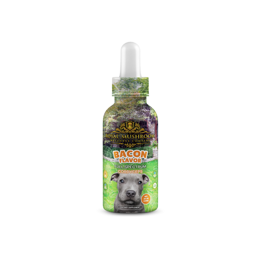 Dogs Tincture Bacon Flavor - Cordyceps